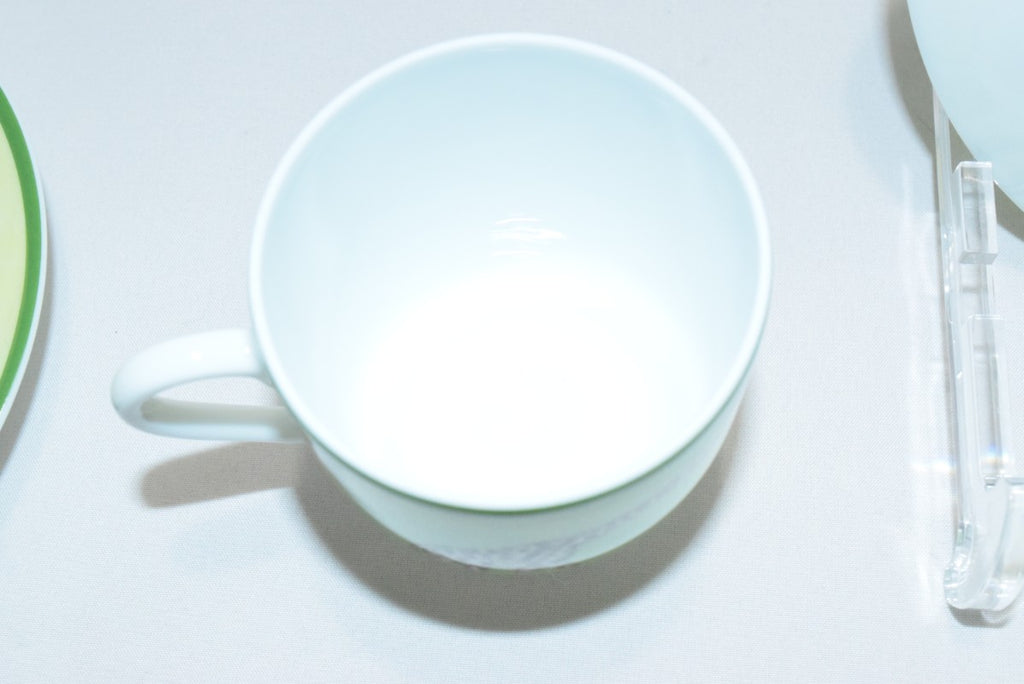 Hermes Africa Demitasse Cup and Saucer 2 set green espresso coffee animal