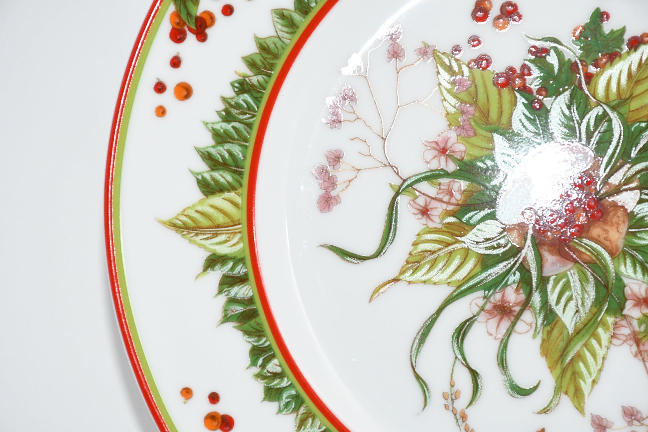 Hermes Le Jardin de Pythagore Dessert Plate 22.5 cm porcelain Set