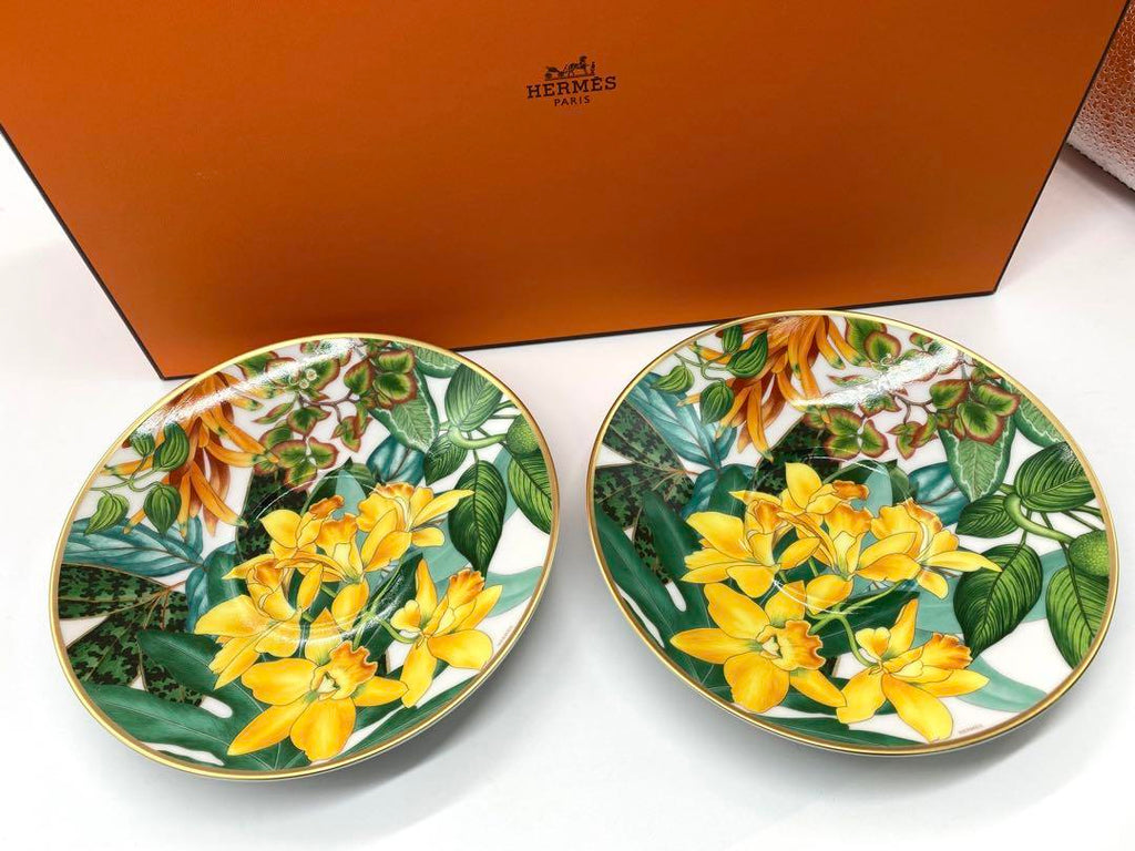 Hermes Passifolia Morning Cup and Saucer 2 set green porcelain soup bowl coffee 370 ml