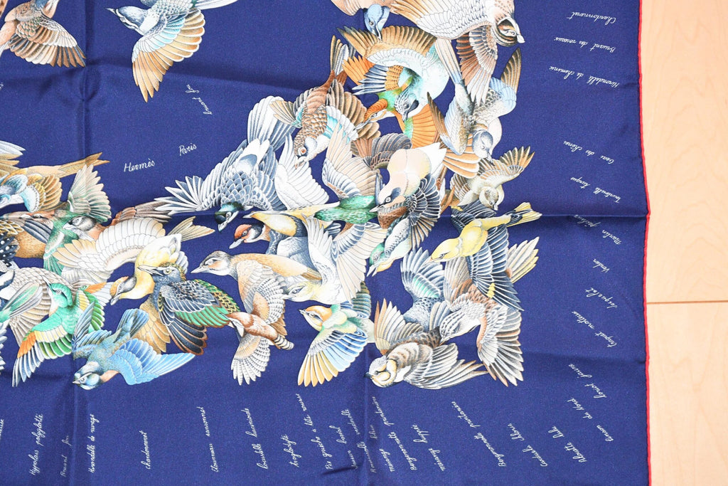 Hermes Scarf L'intrus Silk 90 cm navy blue invader bird forest Carre 35"