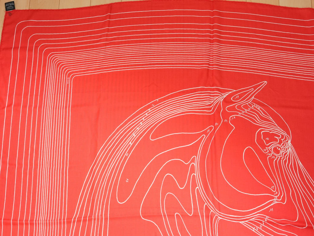 Hermes Shawl Pegase Paysage 140 cm Cashmere silk scarf stole red Pegasus 56"