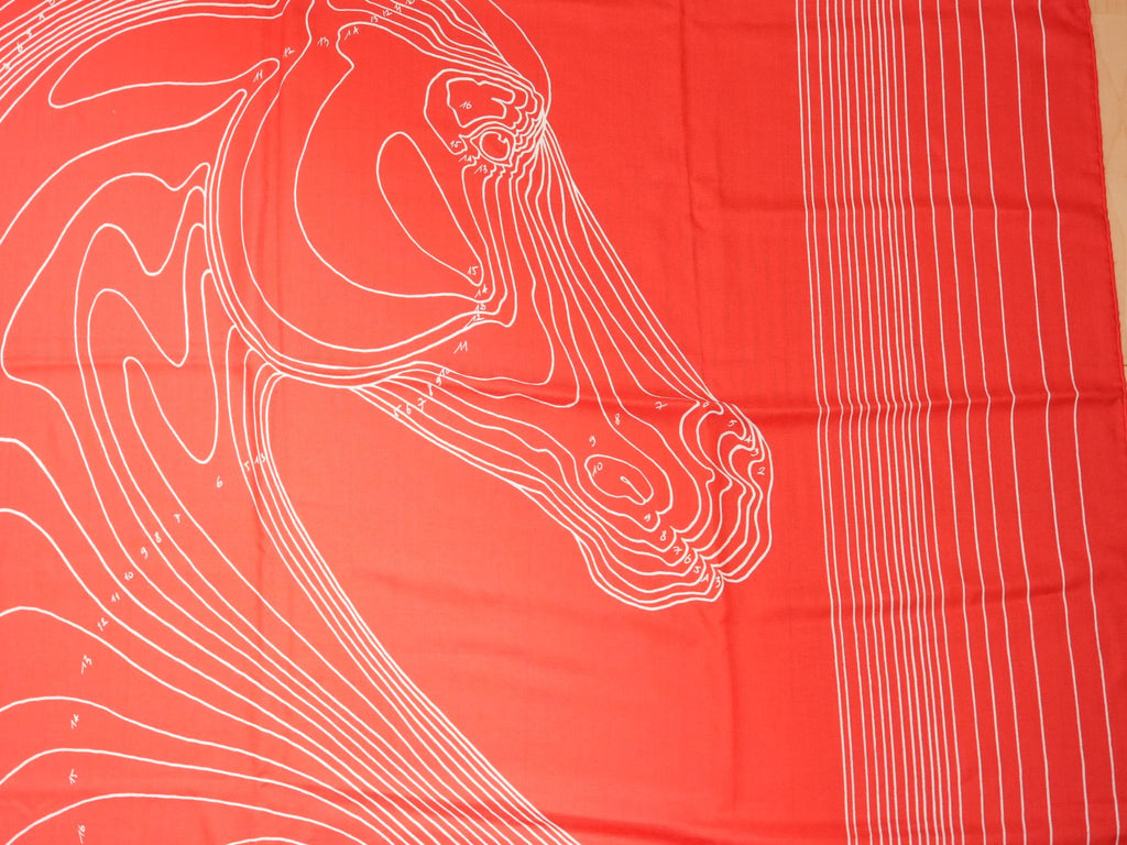 Hermes Shawl Pegase Paysage 140 cm Cashmere silk scarf stole red Pegasus 56"