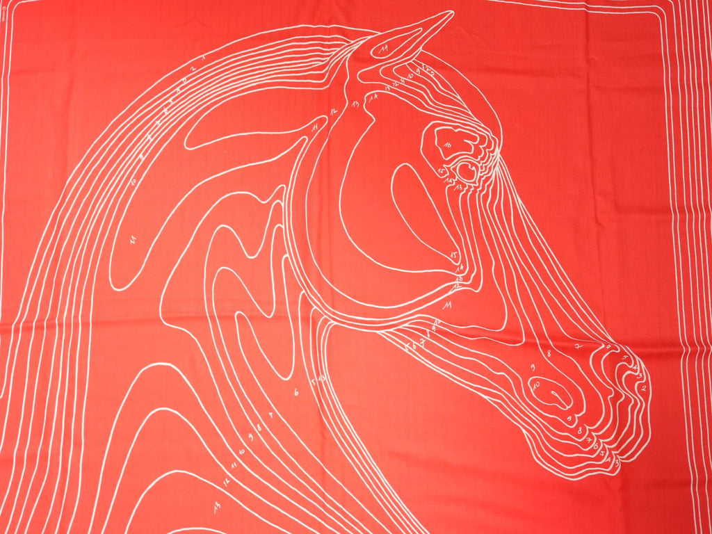 Hermes Shawl Pegase Paysage 140 cm Cashmere silk scarf stole red Pegasus 56"