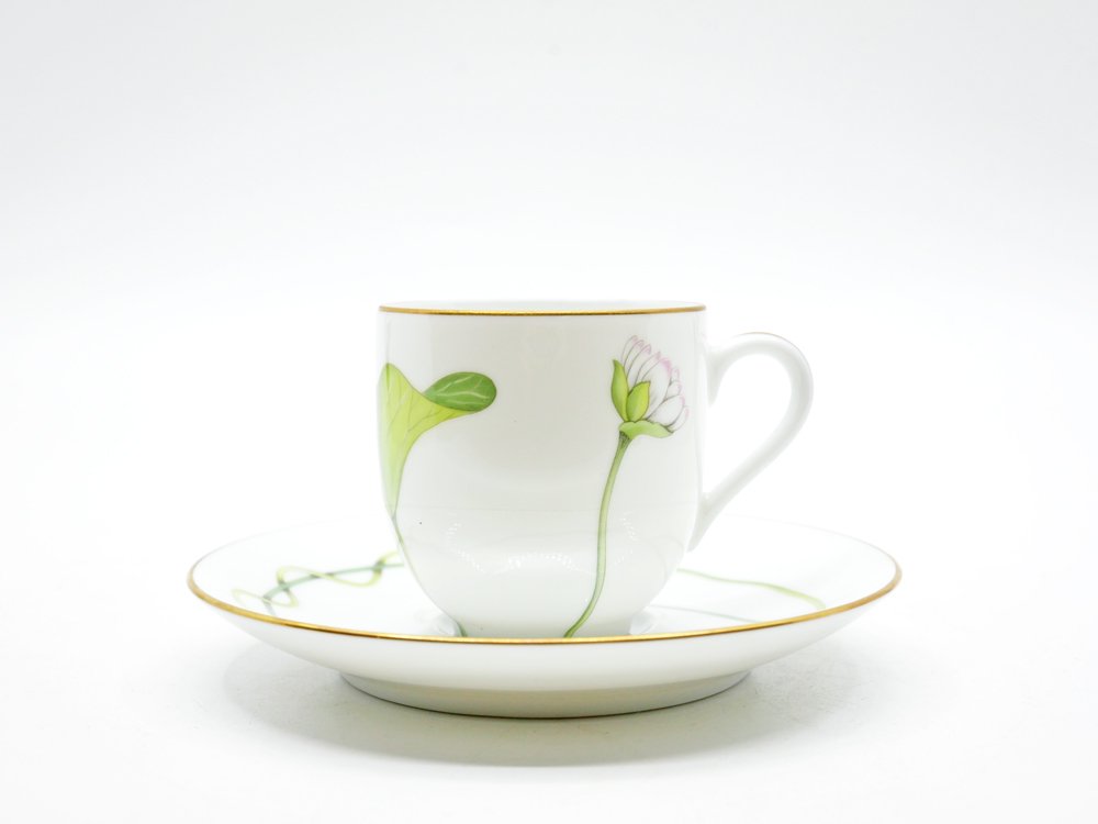 Hermes Africa Tea Cup and Saucer 2 set Green porcelain dinnerware coffee  animal – art Japan Export